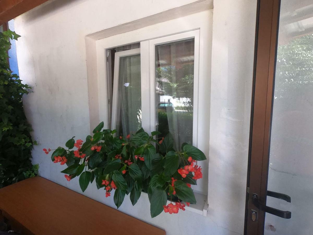Fontana Lägenhet Bovec Exteriör bild